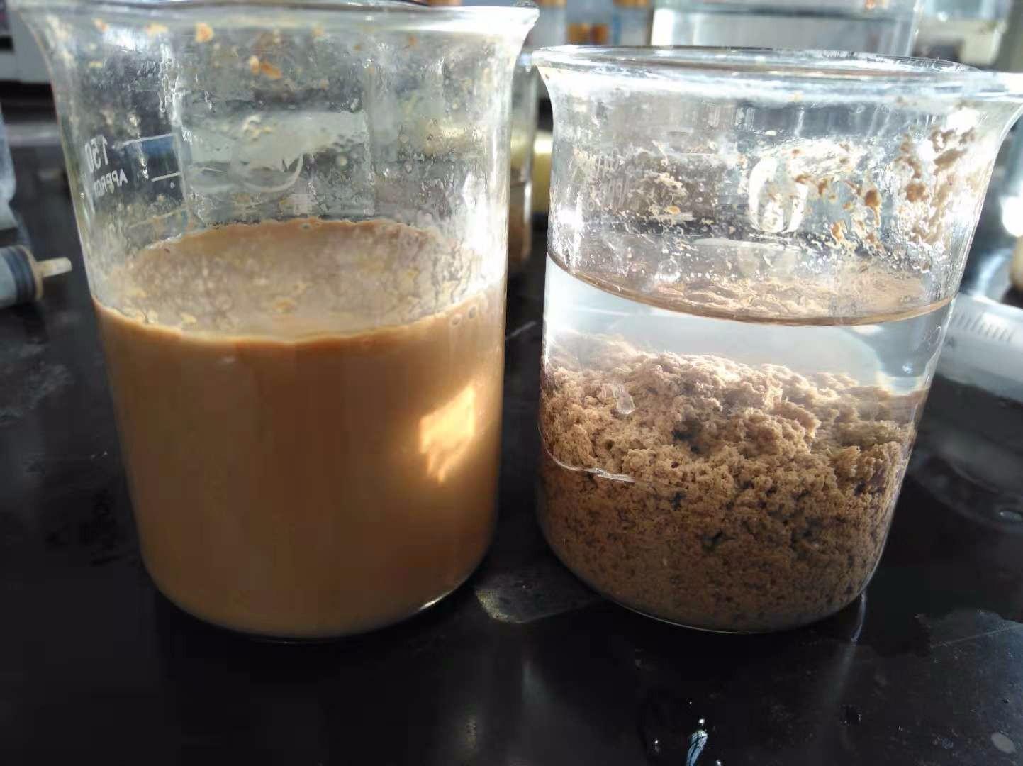 <a href='http://noblock.cn/jsyj/992.html' target='_blank'><u>���x�Ӿ۱�ϩ�������a(ch��n)�S��</u></a>